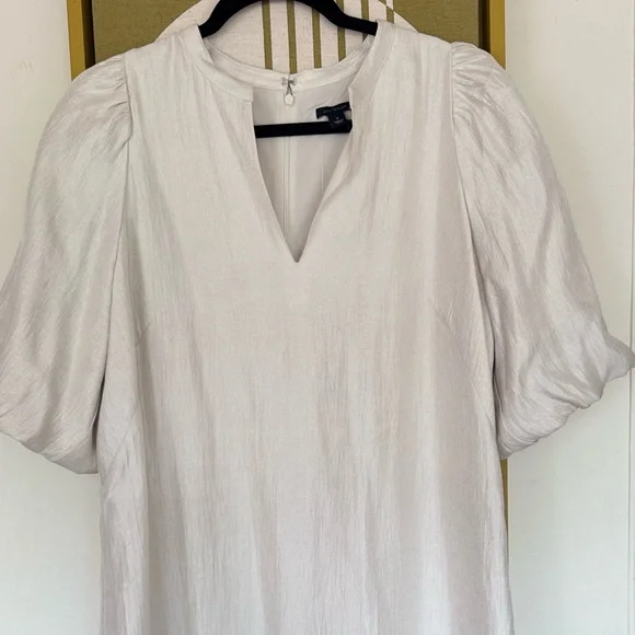 Ann Taylor champagne shift dress - Picture 6 of 6